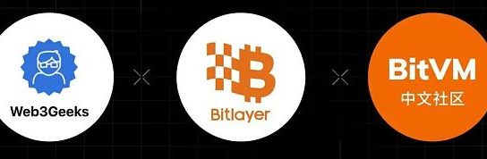 走近BTC：理解BitVM所需的背景知识缩略图